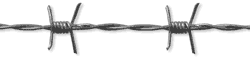 Barbed Wire