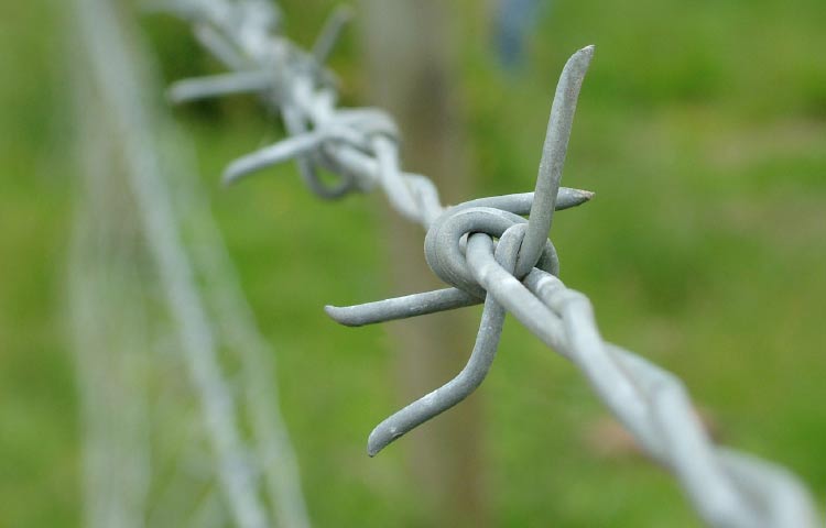 Barbed Wire