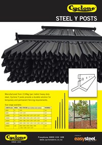 Y post Brochure